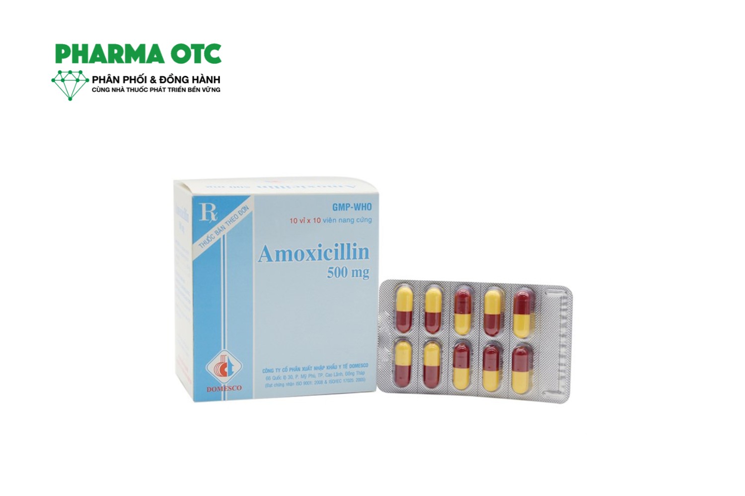 Thuốc kháng sinh Amoxicillin